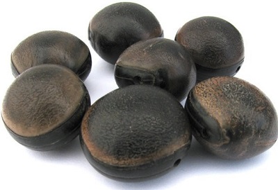 Plusieurs oeils de boeufs naturel | Passion-guyane.fr