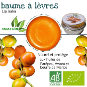 Baume à lèvres Bio Yana-Farm