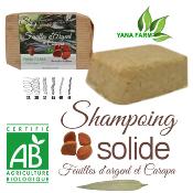 Shampooing solide feuille d'argent carapa maripa Bio