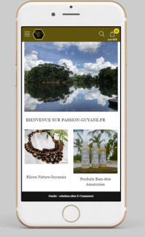Version mobile 