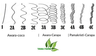 Type de cheveux et porosit